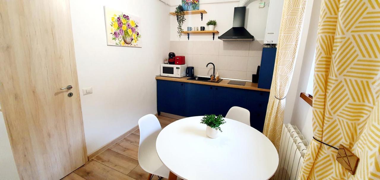 Art Studio Braşov Eksteriør bilde