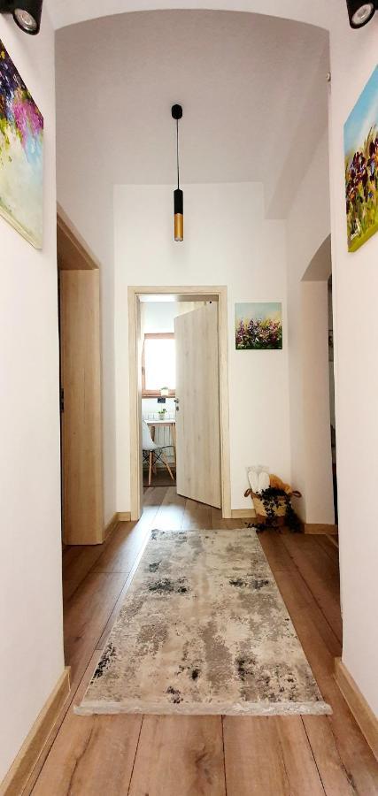 Art Studio Braşov Eksteriør bilde